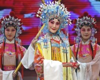 Dame asiatique vêtue d'un habit traditionnel